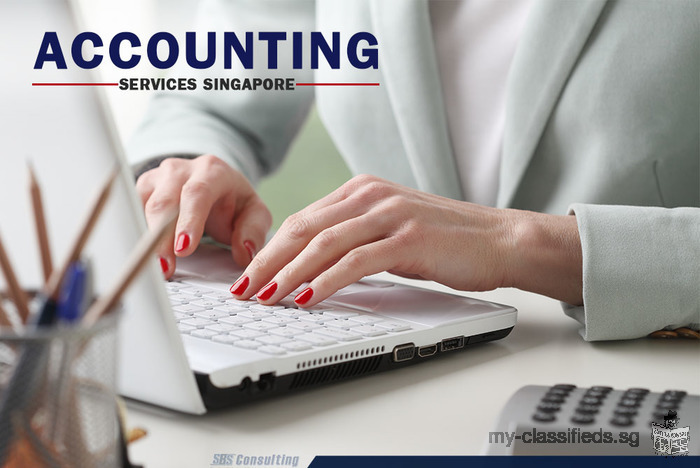 Appoint a Professional Accounting Services Singapore and Build Your Business Better
