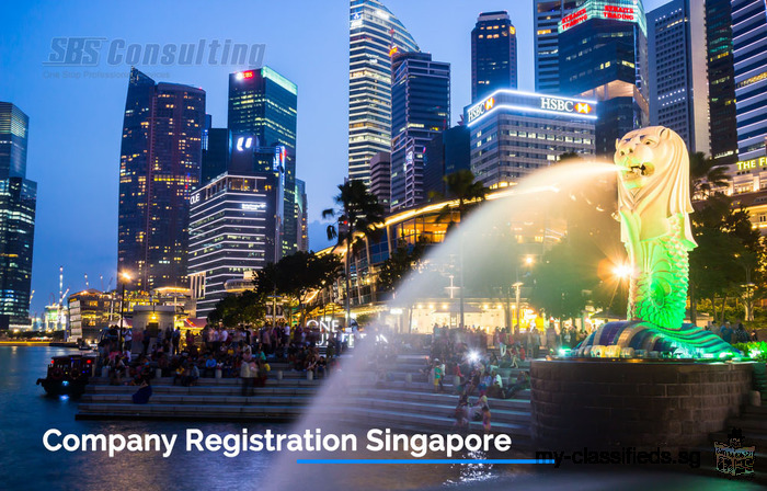 Before Company Registration Singapore invest in Business Model first