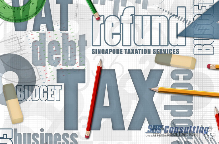 Hire Qualified Singapore Taxation Services Experts