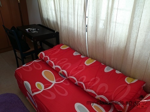 Hostel Style Single Room near Bugis/Farrer Park/Lavender, No Agent Fee