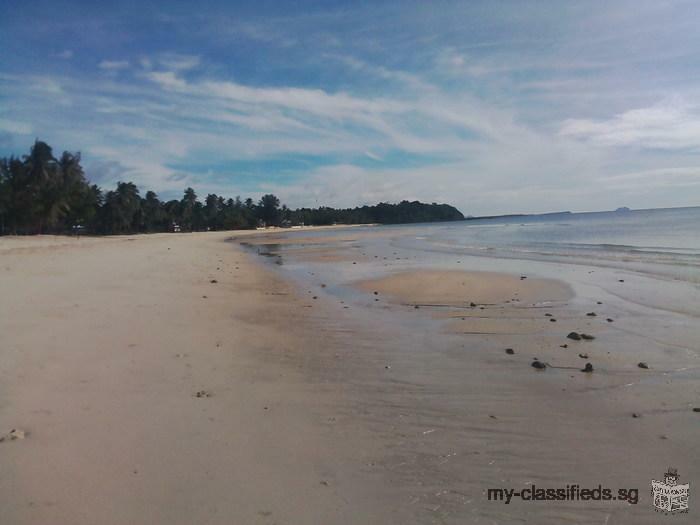 Land on the low hill near beach Chumphon with Chanote for sale very very beautiful suitable for Vill